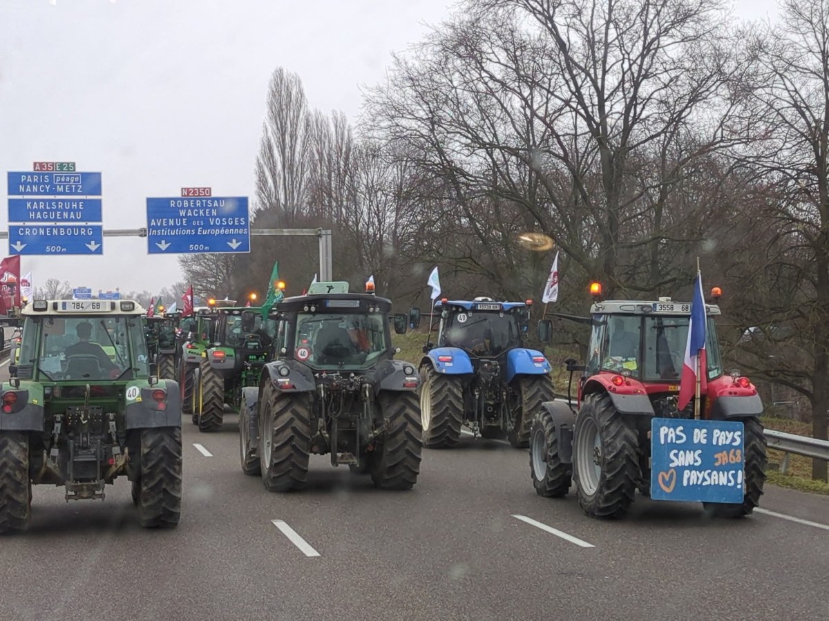 Agriculteurs : 8 arbres abattus, Strasbourg réclame 80 000&nbsp;€