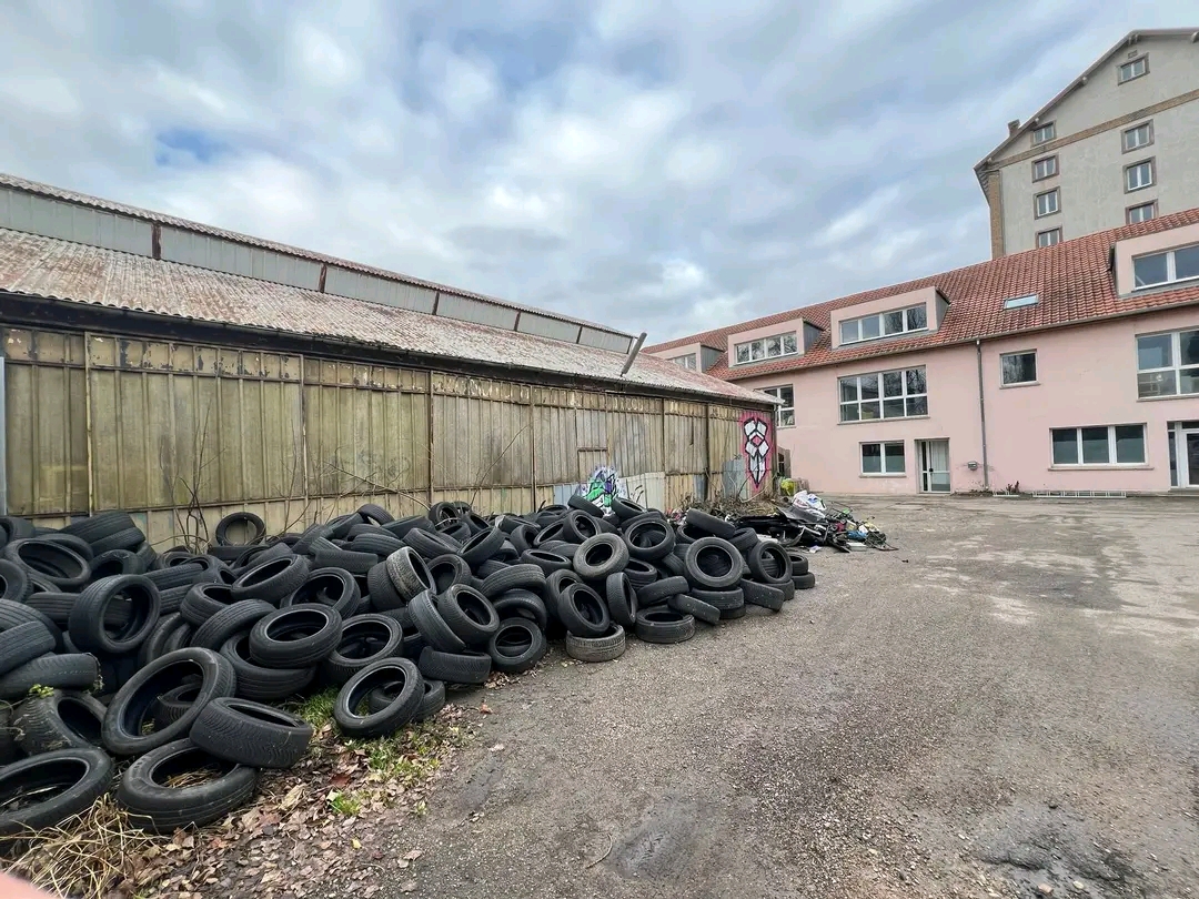 Koenigshoffen : la décharge sauvage du parc Gruber enfin&nbsp;nettoyée